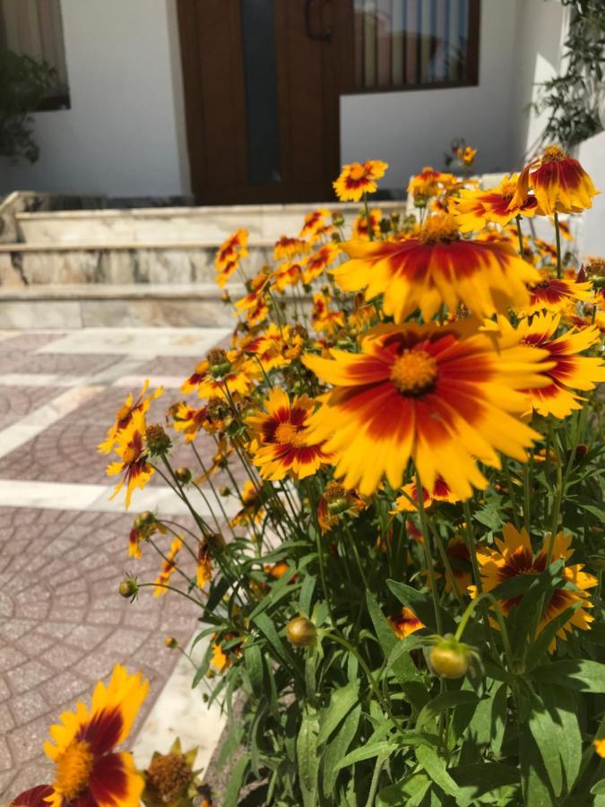 Семейна Къща “Вълчеви” Naousa Dış mekan fotoğraf